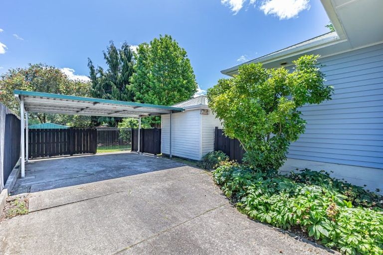 Photo of property in 167 Weraroa Road, Levin, 5510