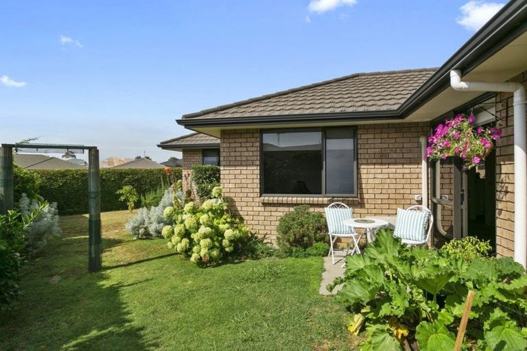 Photo of property in 27 Matipo Street, Matamata, 3400