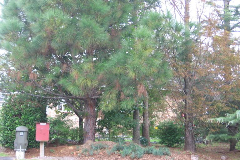 Photo of property in 25 Te Kanawa Crescent, Henderson, Auckland, 0610