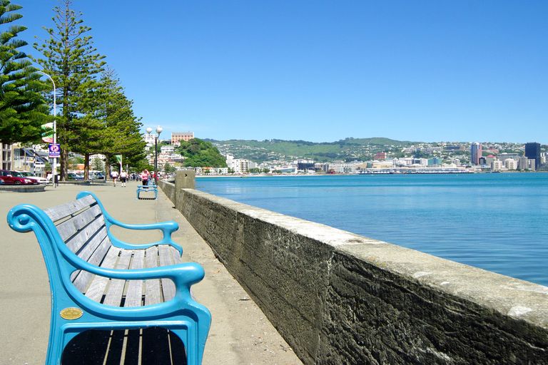 Photo of property in 318 Oriental Parade, Oriental Bay, Wellington, 6011