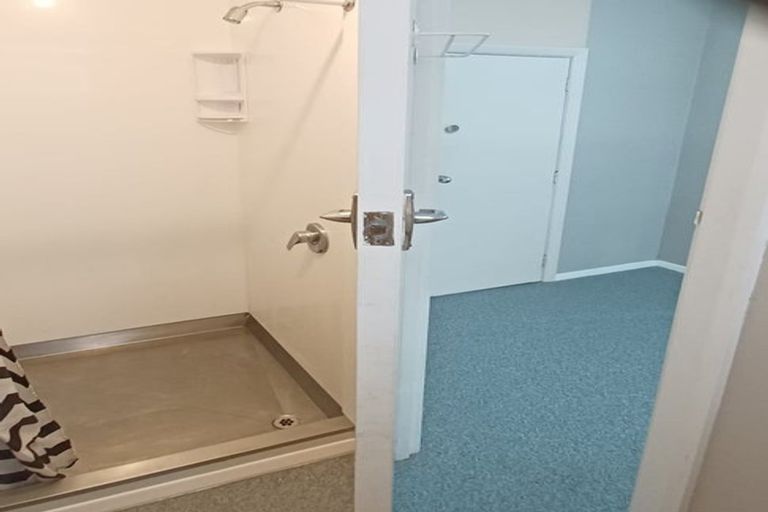 Photo of property in 33 Albert Street, Palmerston North, 4414