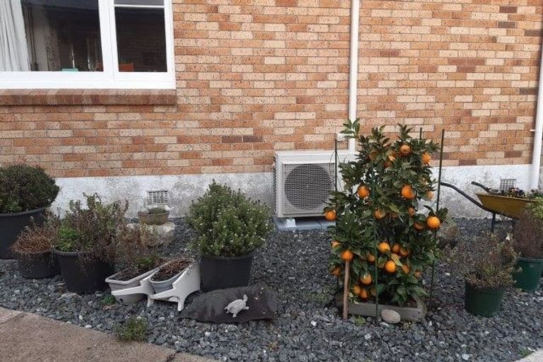 Photo of property in 6 Kowhai Place, Putaruru, 3411