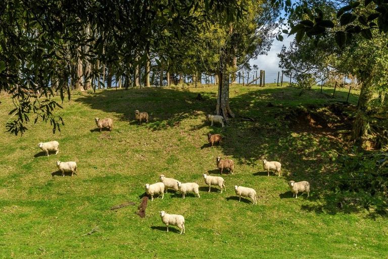 Photo of property in 1956b Pyes Pa Road, Oropi, Tauranga, 3173