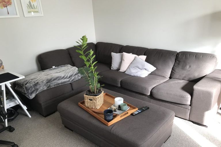 Photo of property in 8 Trevor Terrace, Newtown, Wellington, 6021