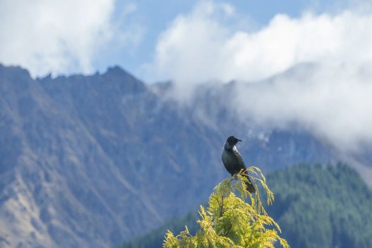 Photo of property in 12a Windsor Place, Queenstown, 9300