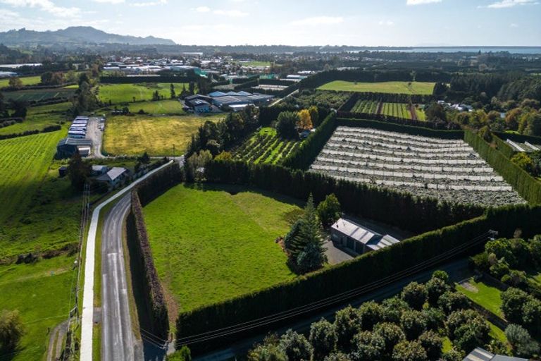 Photo of property in 50 Tetley Road, Tahawai, Katikati, 3178