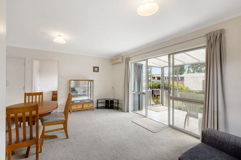 Photo of property in 119b Otumoetai Road, Brookfield, Tauranga, 3110