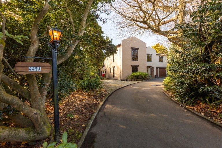 Photo of property in 445a Ruahine Street, Terrace End, Palmerston North, 4410