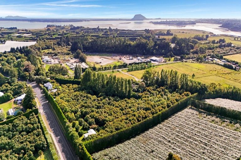 Photo of property in 138 Te Puna Road, Te Puna, Tauranga, 3174