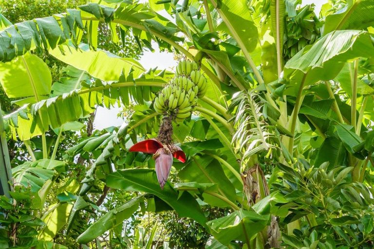 Photo of property in 44 Ewing Road, Riverside, Whangarei, 0112