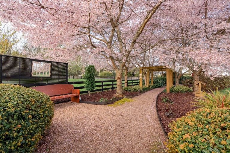 Photo of property in 308 Pencarrow Road, Tamahere, Hamilton, 3283