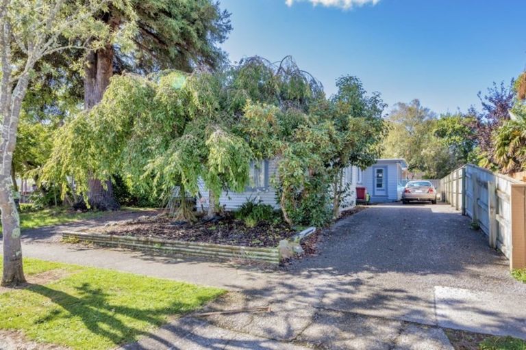 Photo of property in 88 Queenwood Road, Levin, 5510