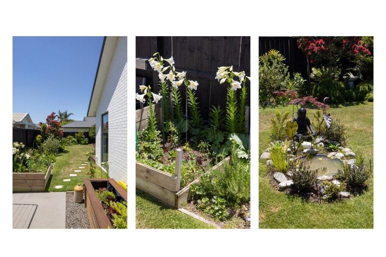 Photo of property in 16 Hiria Crescent, Papamoa Beach, Papamoa, 3118