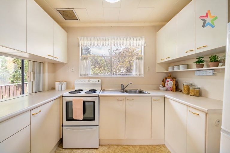 Photo of property in 48 Kings Crescent, Hutt Central, Lower Hutt, 5010