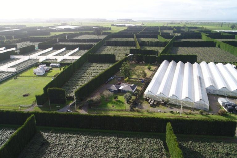 Photo of property in 187 Kelly Road, Paengaroa, Te Puke, 3189