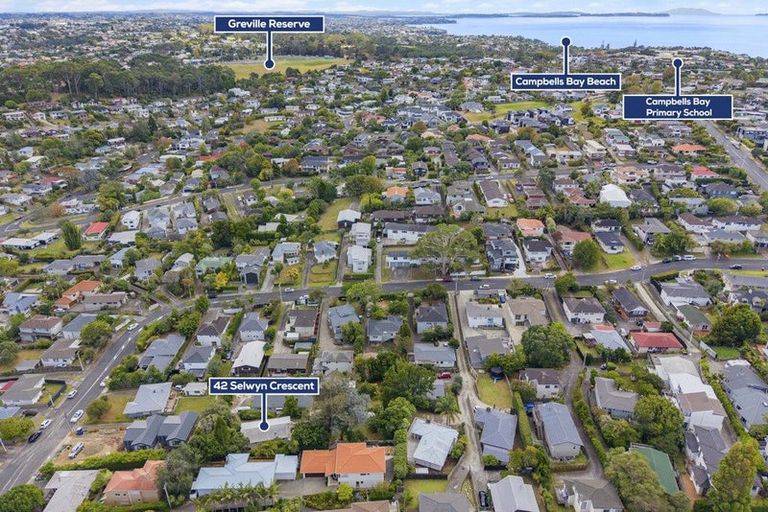 Photo of property in 42 Selwyn Crescent, Forrest Hill, Auckland, 0620