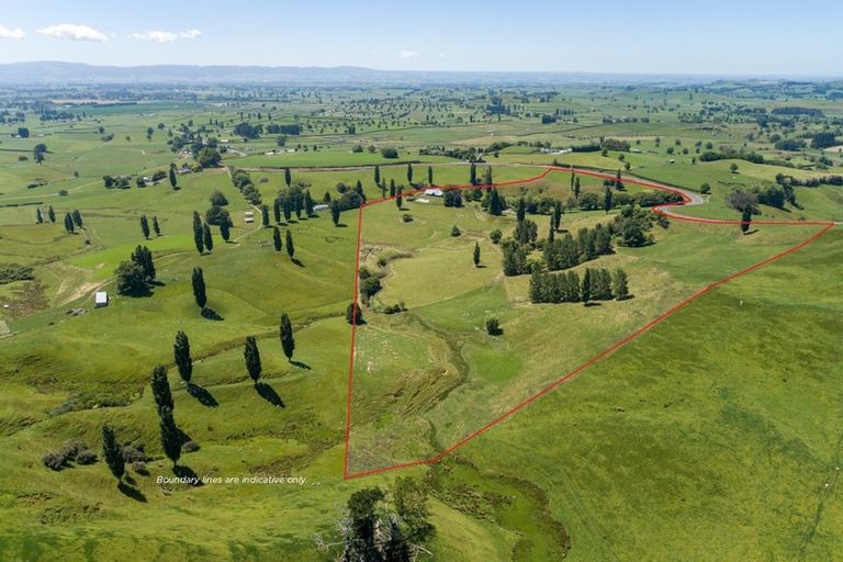 Photo of property in 328 Buckland Road, Matamata, 3472