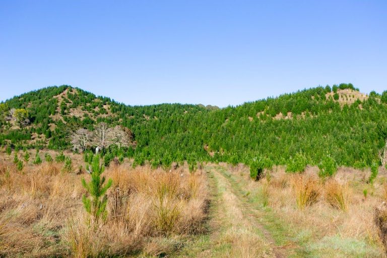 Photo of property in 751 Ongo Road, Hunterville, 4782