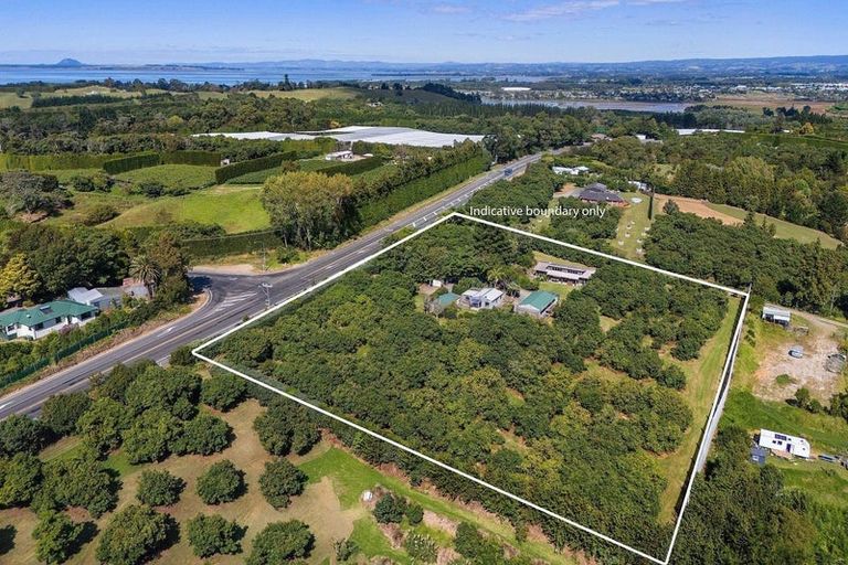 Photo of property in 463 State Highway, Tahawai, Katikati, 3170