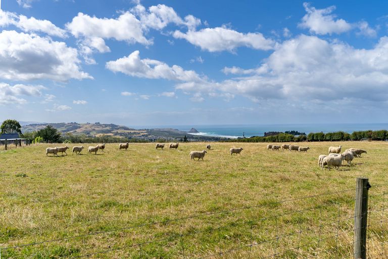 Photo of property in 200 Mcmaster Road, Saddle Hill, Dunedin, 9076