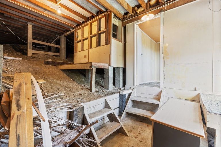 Photo of property in 61 Tannadyce Street, Strathmore Park, Wellington, 6022