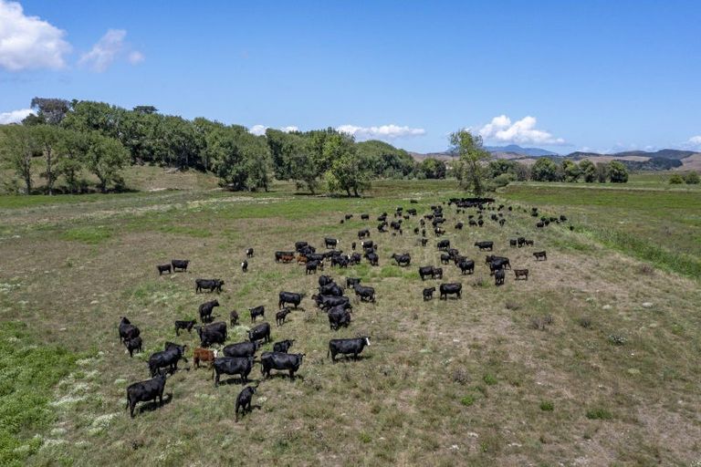 Photo of property in 429 Te Akau South Road, Te Akau, Ngaruawahia, 3793