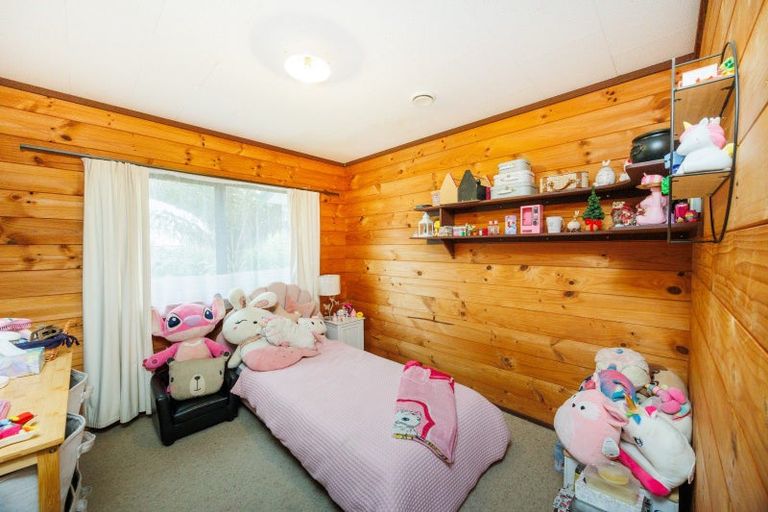 Photo of property in 20c Frederick Street, Terrace End, Palmerston North, 4410