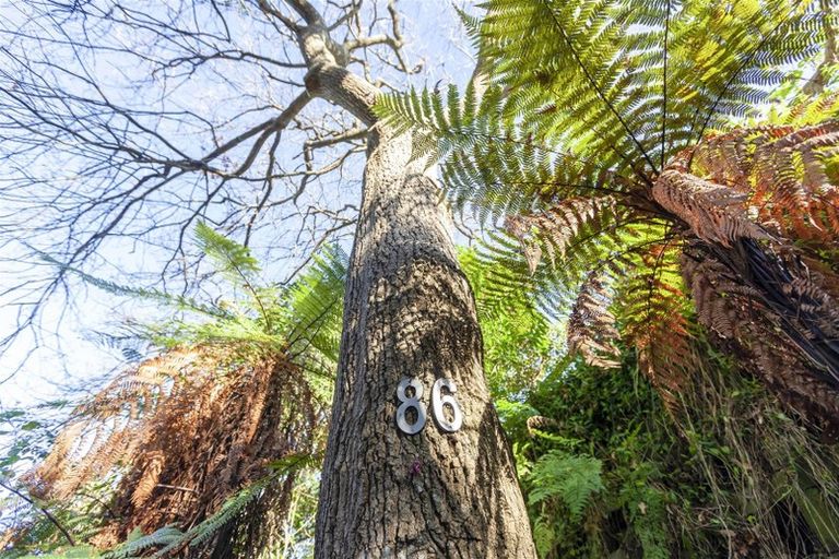 Photo of property in 88 Matatua Road, Raumati Beach, Paraparaumu, 5032