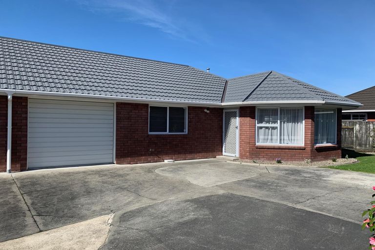 Photo of property in 8b Elizabeth Street, Palmerston North, 4410