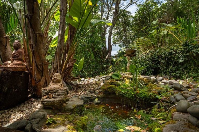 Photo of property in 530 Dairy Flat Highway, Dairy Flat, Albany, 0792