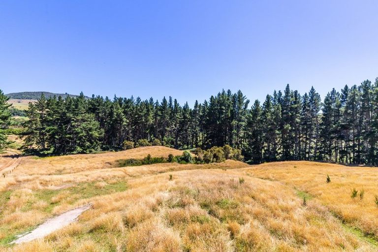 Photo of property in 65 Omori Road, Kuratau, Turangi, 3381