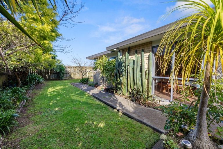 Photo of property in 29 Luculia Drive, Mount Maunganui, 3116