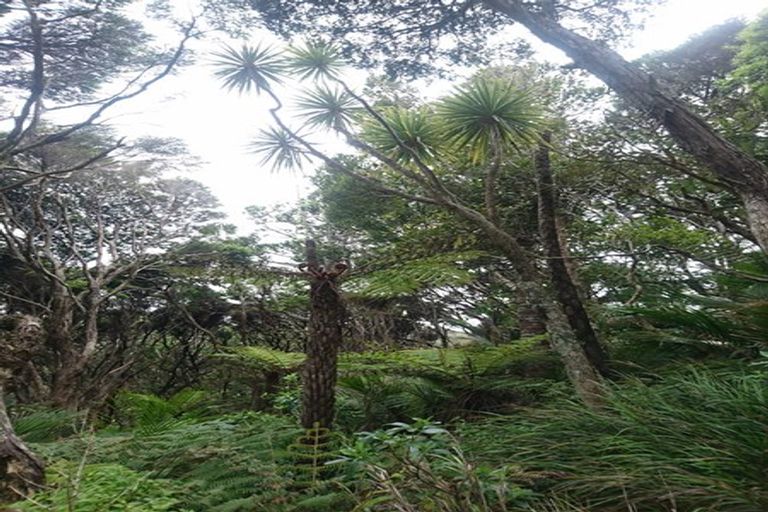 Photo of property in 77 Karekare Road, Karekare, Auckland, 0772