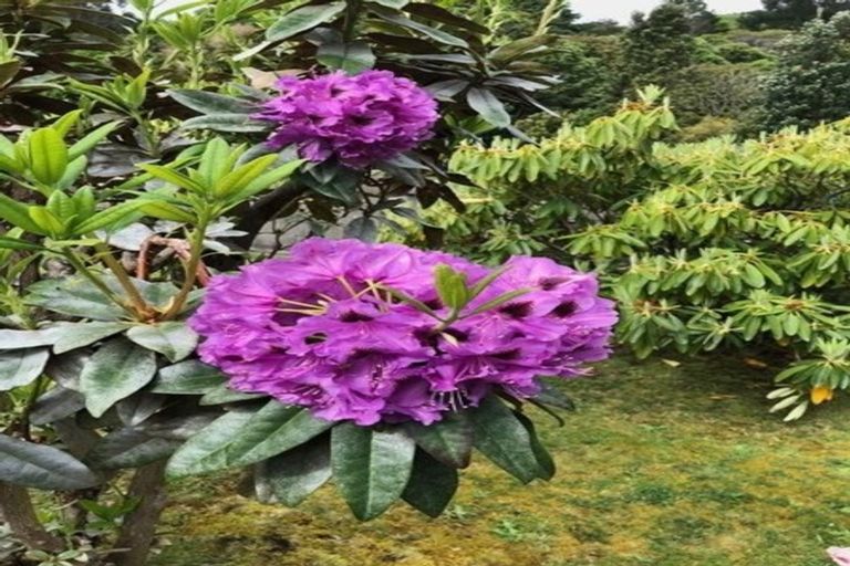 Photo of property in 120 Ruapehu Street, Paraparaumu, 5032