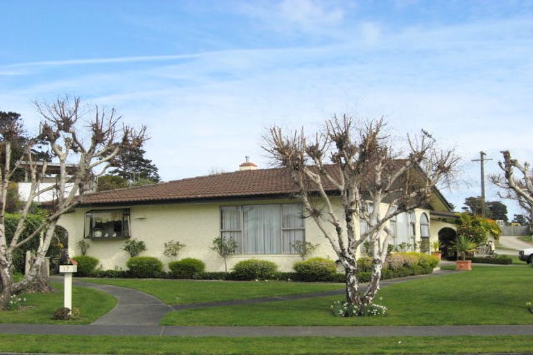 Photo of property in 17 Karamu Street, Tawhero, Whanganui, 4501