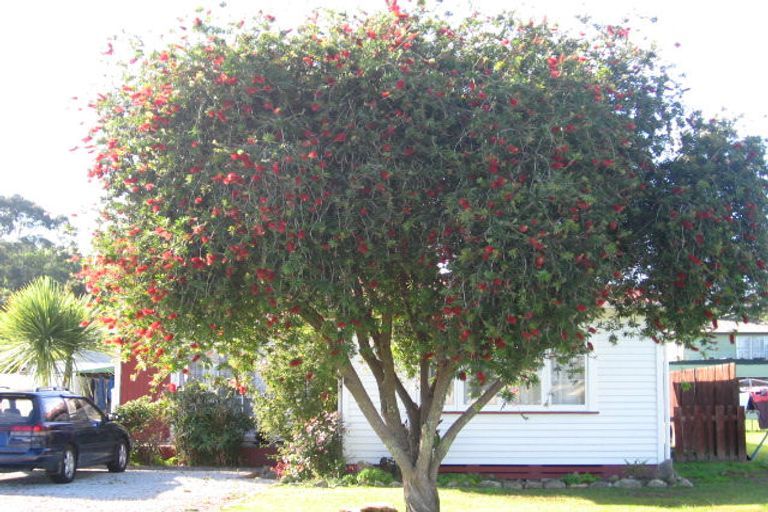 Photo of property in 15 Ayton Street, Mangapapa, Gisborne, 4010