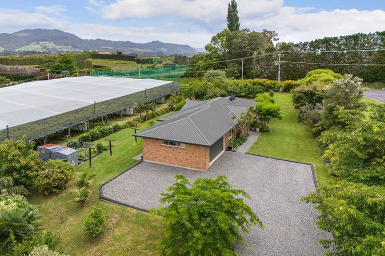 Photo of property in 4 Castlegrace Drive, Tahawai, Katikati, 3170