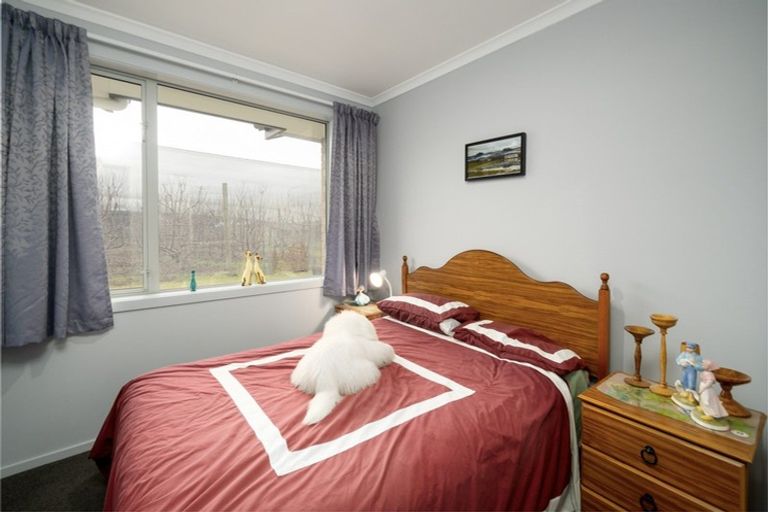 Photo of property in 101 Richards Beach Road, Cromwell, 9384