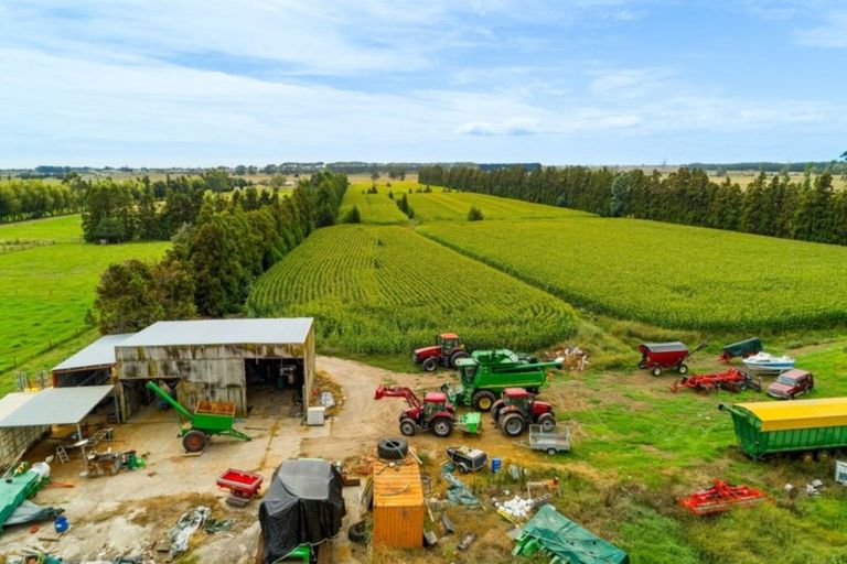 Photo of property in 76 Bell Road, Papamoa, 3187