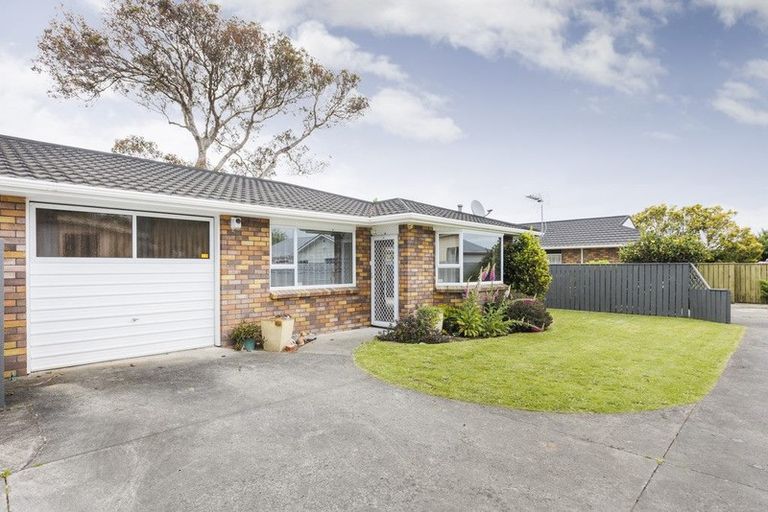 Photo of property in 10a Millar Street, Terrace End, Palmerston North, 4410
