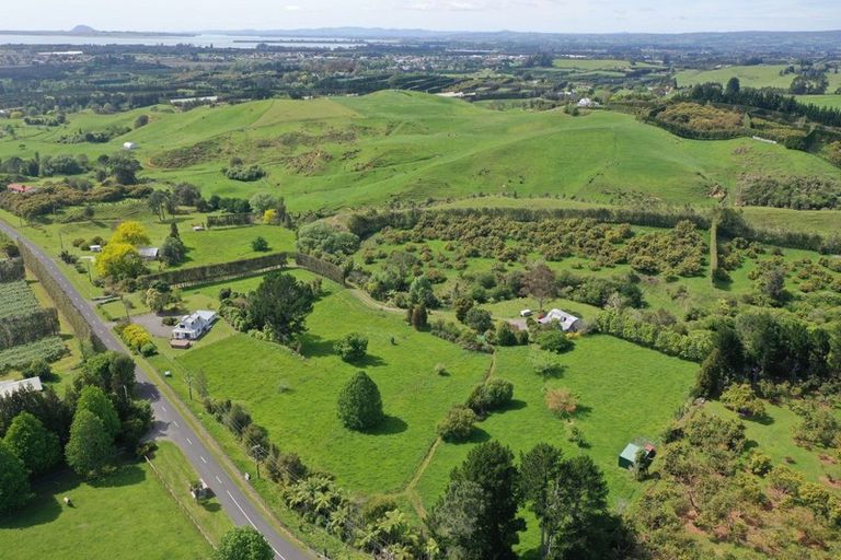 Photo of property in 167 Willoughby Road, Tahawai, Katikati, 3170