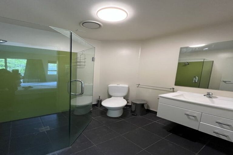 Photo of property in 73 Buccleugh Street, North East Valley, Dunedin, 9010