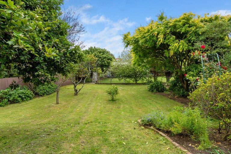 Photo of property in 18 Vine Avenue, Maungatapu, Tauranga, 3112