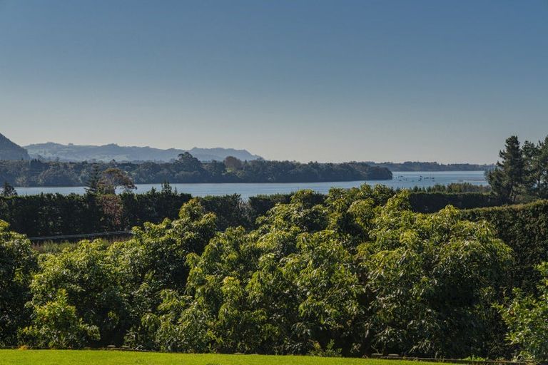 Photo of property in 210 Tuapiro Road, Tahawai, Katikati, 3170