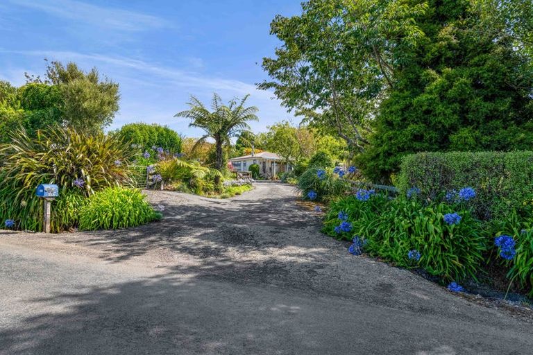 Photo of property in 608 Hurford Road, Hurford, New Plymouth, 4374