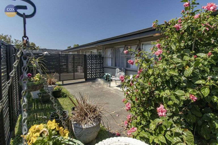 Photo of property in Marewa Lodge Apartments, 5/44 Taradale Road, Marewa, Napier, 4110