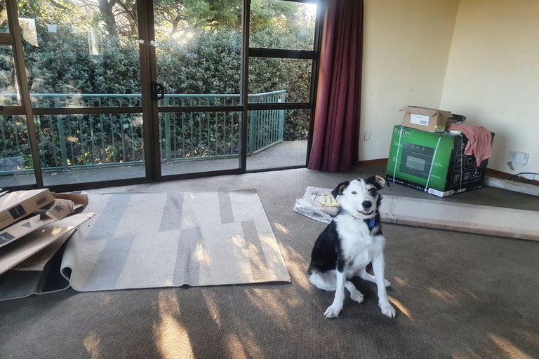 Photo of property in 201 Gladstone Road, Dalmore, Dunedin, 9010