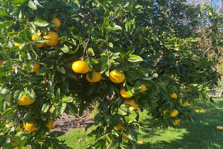 Photo of property in 4 Grierson Close, Hahei, Whitianga, 3591