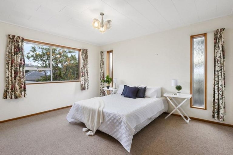 Photo of property in 117 Glenpark Avenue, Maryhill, Dunedin, 9011