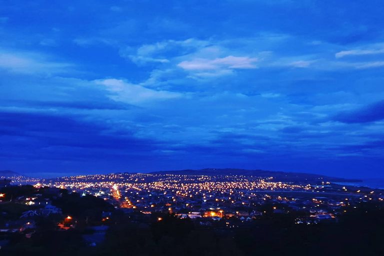 Photo of property in 32 Ravenswood Road, Saint Clair, Dunedin, 9012